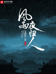 风雨夜归人