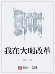 我在大明改革