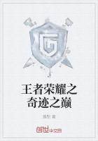 王者荣耀之奇迹之巅