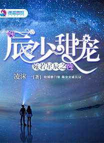 宛若星辰之辰少甜宠