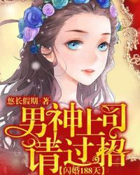 闪婚188天：男神上司，请过招