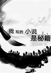 我写的小说是秘籍